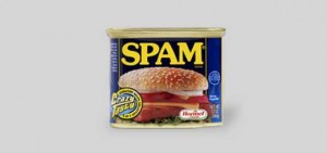 o que é o spam